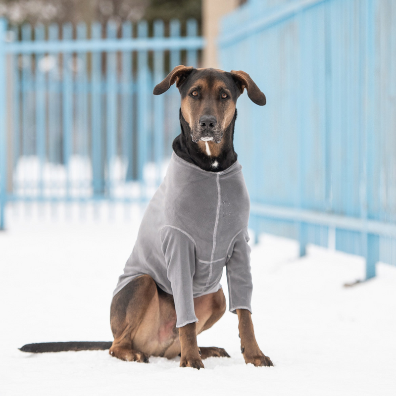 4-Way Stretch Micro Polar Fleece  - Charcoal