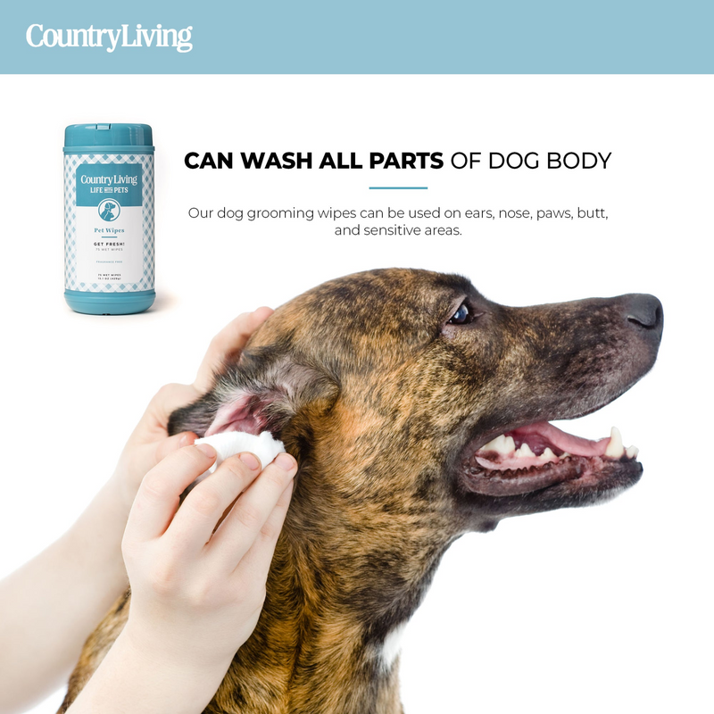 75 Fragrance Free Dog Wipes