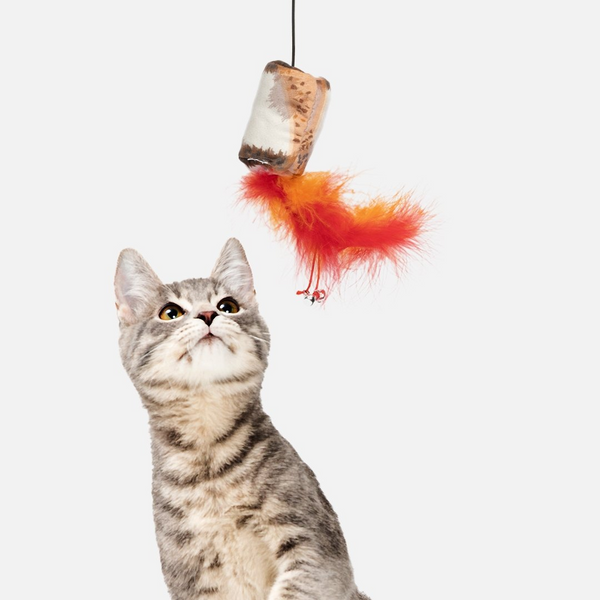 Woodlands Cat Toy Bundle
