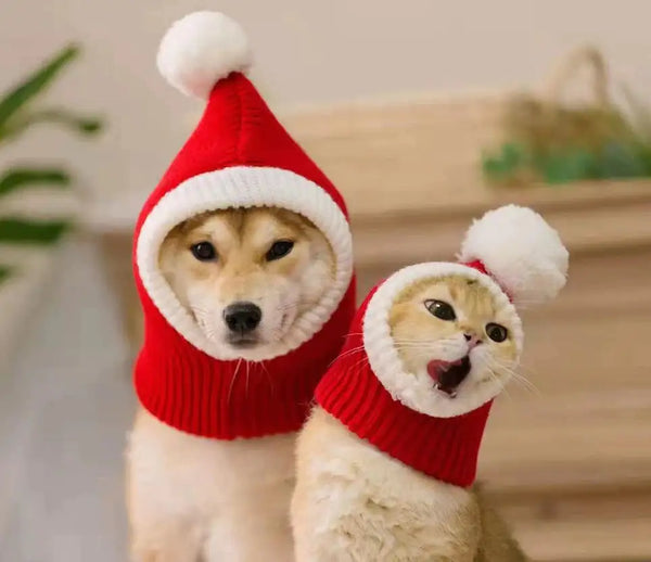 Winter Pet Cap Hat