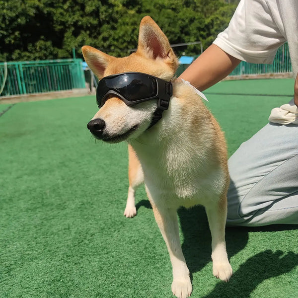 Adjustable UV Protection Sunglasses