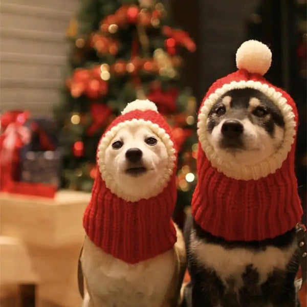 Winter Pet Cap Hat
