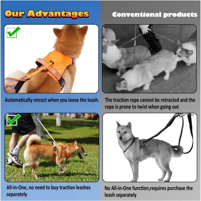 All-in-One Dog Harness and Retractable Leash Set