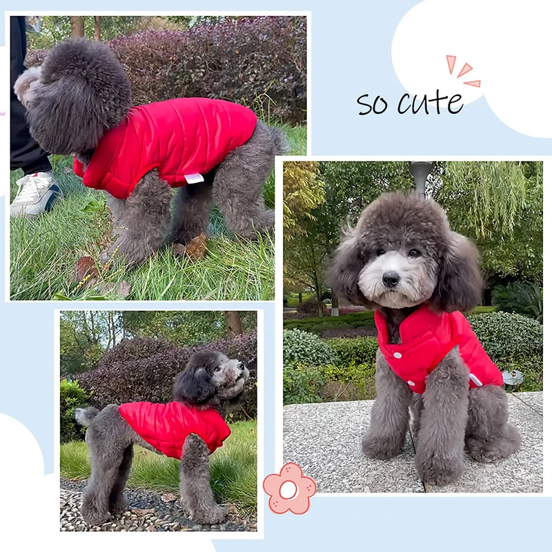 Paws Dog Vest Jacket